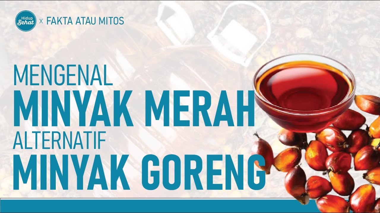 MINYAK MAKAN MERAH VIDEOS